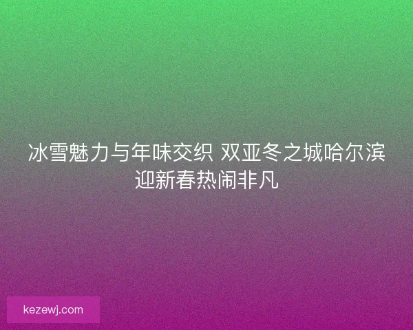 冰雪魅力与年味交织 双亚冬之城哈尔滨迎新春热闹非凡
